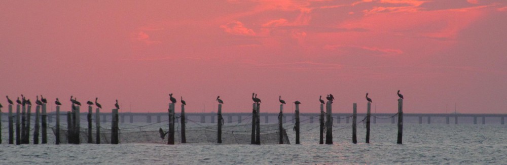Cape Story by the Sea